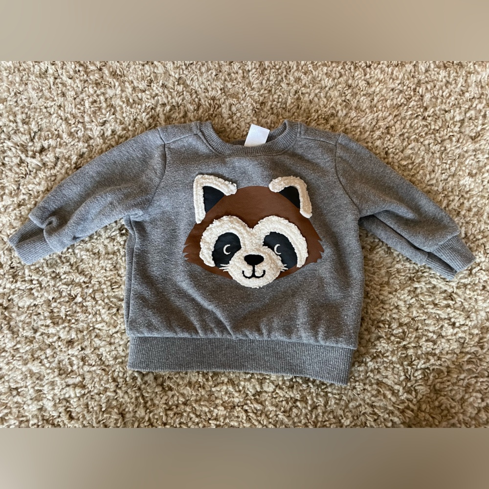 Carter’s baby boy fuzzy raccoon gray sweatshirt 6 month size